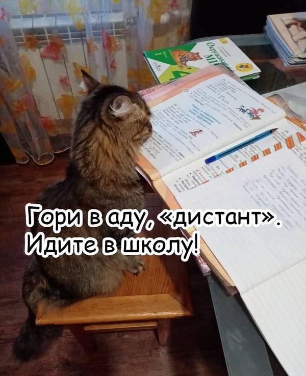 https://upforme.ru/uploads/0004/02/e8/1734/t206673.jpg