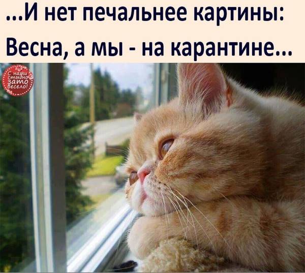 https://upforme.ru/uploads/0004/02/e8/1734/t21751.jpg