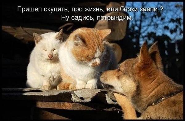 https://upforme.ru/uploads/0004/02/e8/1734/t225708.jpg