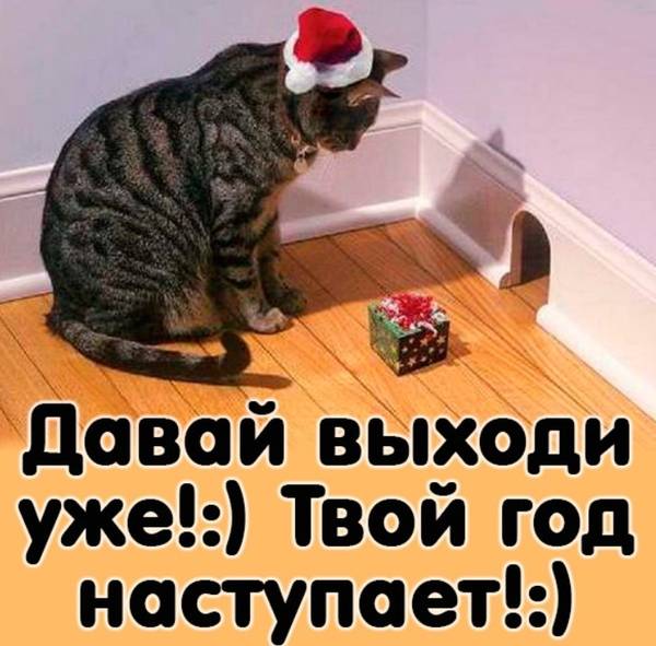 https://upforme.ru/uploads/0004/02/e8/1734/t22624.jpg
