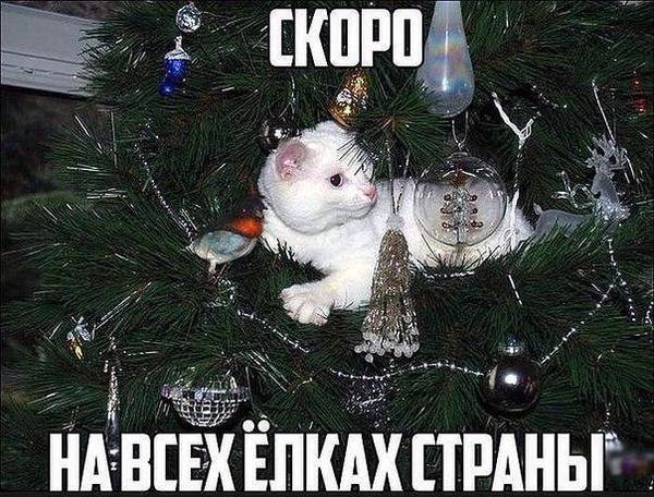 https://upforme.ru/uploads/0004/02/e8/1734/t23959.jpg
