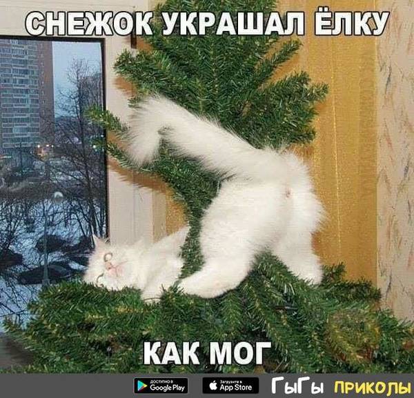 https://upforme.ru/uploads/0004/02/e8/1734/t24009.jpg
