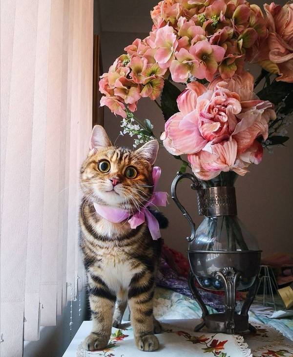 https://upforme.ru/uploads/0004/02/e8/1734/t247173.jpg