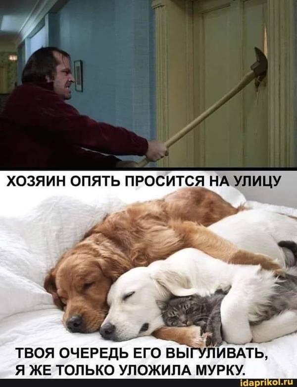 https://upforme.ru/uploads/0004/02/e8/1734/t247960.jpg