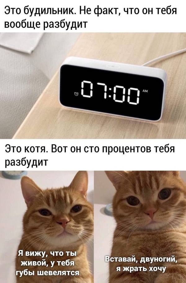 https://upforme.ru/uploads/0004/02/e8/1734/t254567.jpg
