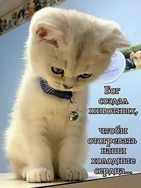 https://upforme.ru/uploads/0004/02/e8/1734/t25968.jpg