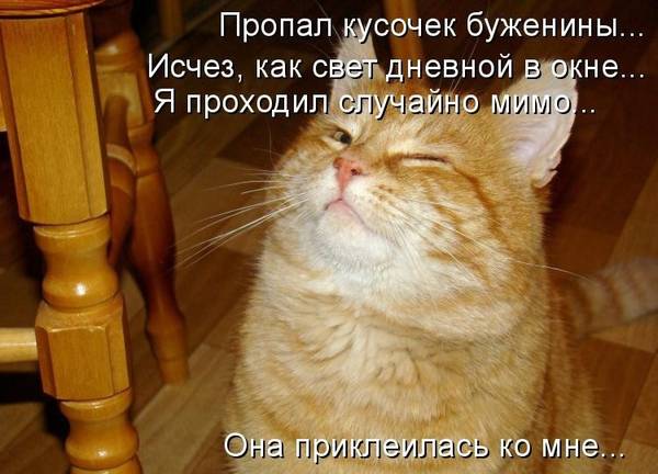 https://upforme.ru/uploads/0004/02/e8/1734/t283607.jpg