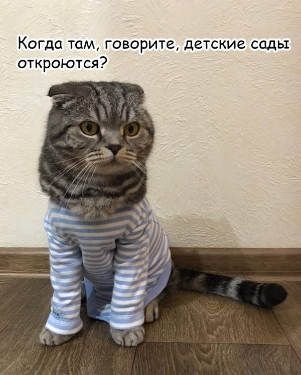 https://upforme.ru/uploads/0004/02/e8/1734/t28714.jpg