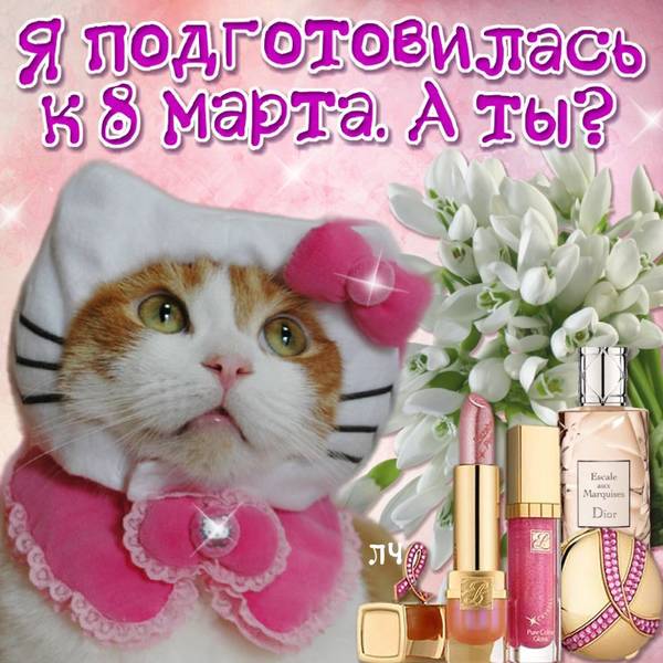 https://upforme.ru/uploads/0004/02/e8/1734/t30051.jpg