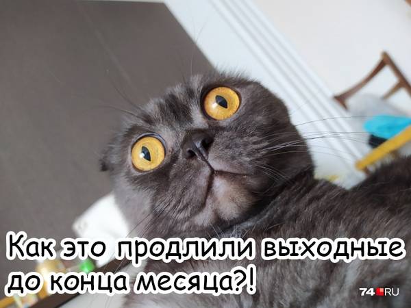 https://upforme.ru/uploads/0004/02/e8/1734/t300628.jpg