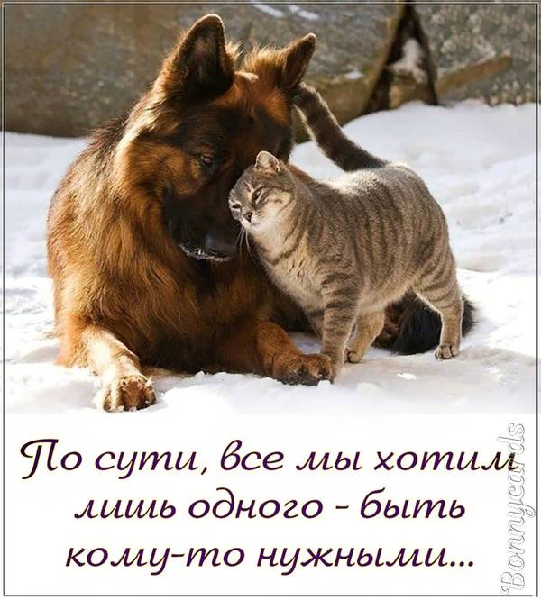 https://upforme.ru/uploads/0004/02/e8/1734/t305372.jpg