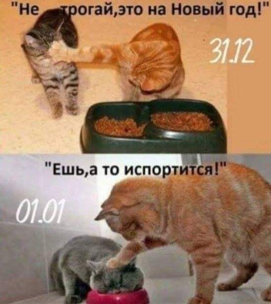 https://upforme.ru/uploads/0004/02/e8/1734/t30564.jpg