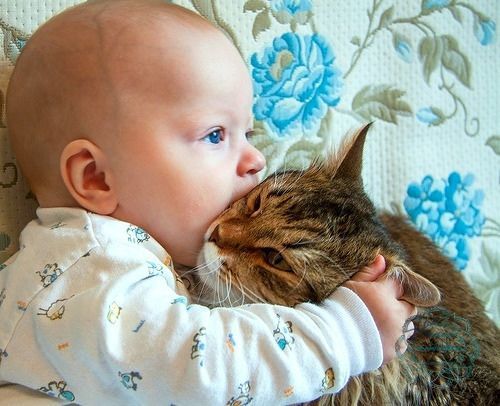 https://upforme.ru/uploads/0004/02/e8/1734/t316126.jpg