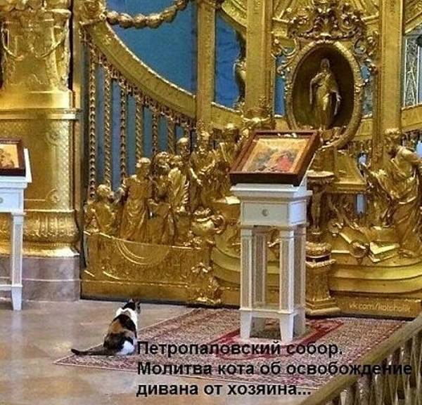 https://upforme.ru/uploads/0004/02/e8/1734/t337444.jpg