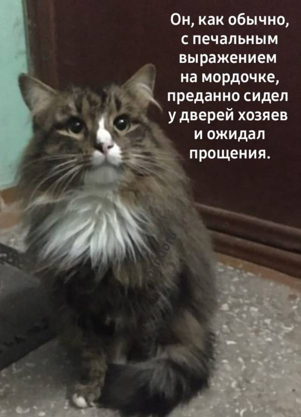 https://upforme.ru/uploads/0004/02/e8/1734/t35789.jpg
