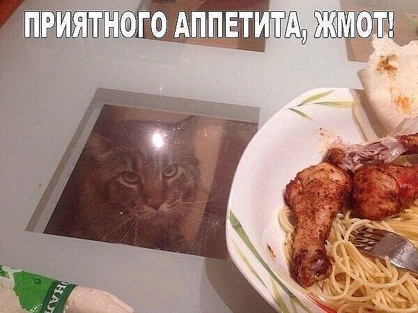 https://upforme.ru/uploads/0004/02/e8/1734/t376771.jpg