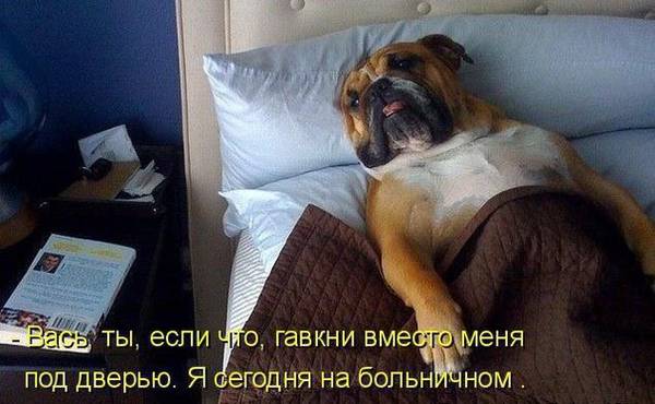 https://upforme.ru/uploads/0004/02/e8/1734/t385366.jpg