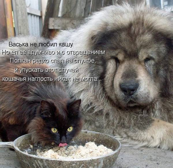 https://upforme.ru/uploads/0004/02/e8/1734/t393826.jpg