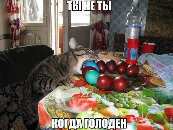 https://upforme.ru/uploads/0004/02/e8/1734/t415257.jpg