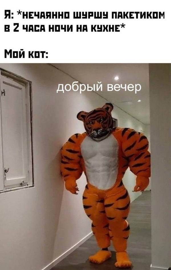 https://upforme.ru/uploads/0004/02/e8/1734/t42719.jpg