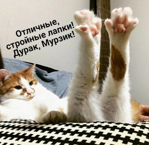 https://upforme.ru/uploads/0004/02/e8/1734/t446867.jpg