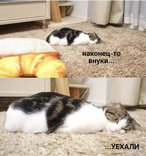 https://upforme.ru/uploads/0004/02/e8/1734/t465302.jpg