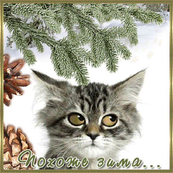 https://upforme.ru/uploads/0004/02/e8/1734/t48757.gif