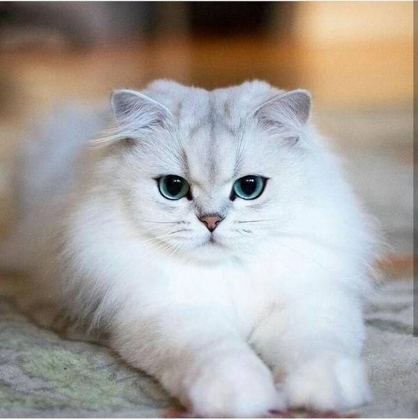 https://upforme.ru/uploads/0004/02/e8/1734/t50103.jpg