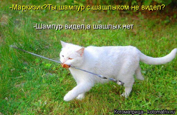 https://upforme.ru/uploads/0004/02/e8/1734/t51868.jpg
