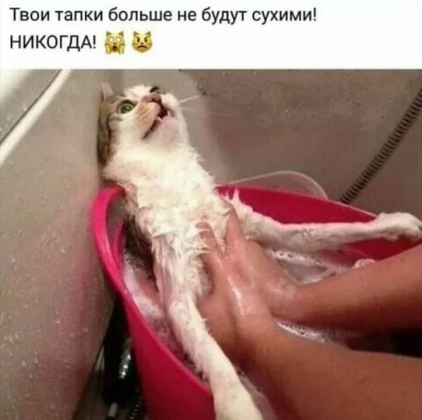 https://upforme.ru/uploads/0004/02/e8/1734/t53083.jpg