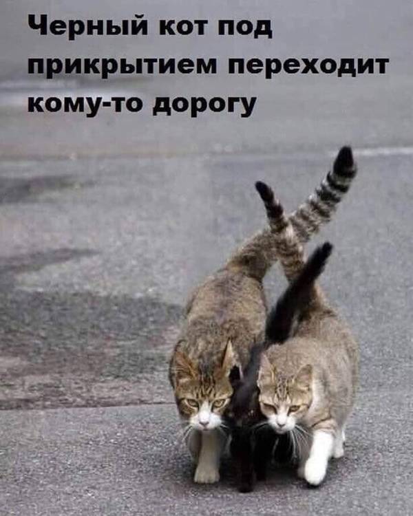 https://upforme.ru/uploads/0004/02/e8/1734/t539911.jpg