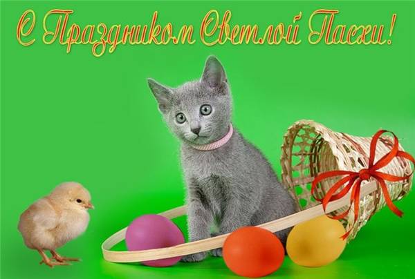 https://upforme.ru/uploads/0004/02/e8/1734/t541745.jpg