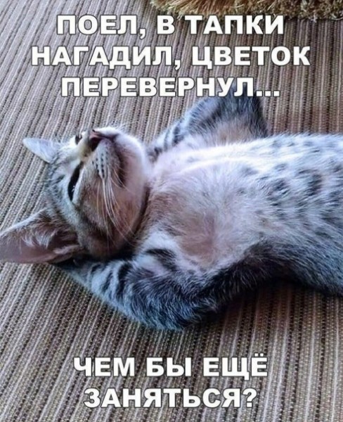 https://upforme.ru/uploads/0004/02/e8/1734/t550520.jpg