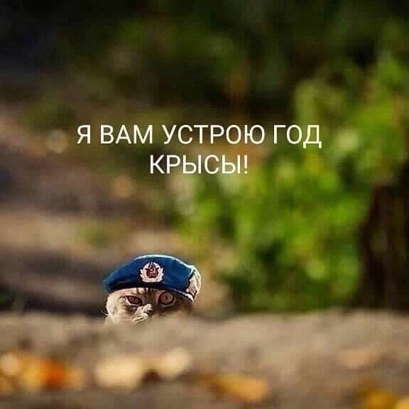 https://upforme.ru/uploads/0004/02/e8/1734/t57265.jpg