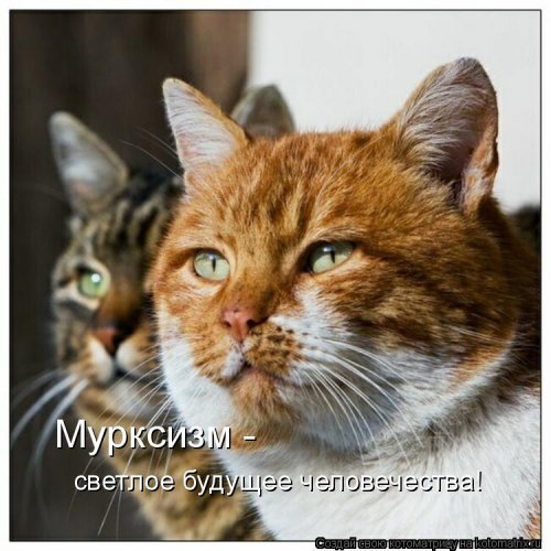 https://upforme.ru/uploads/0004/02/e8/1734/t57375.jpg