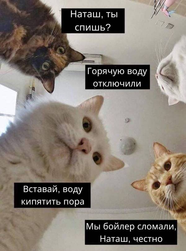 https://upforme.ru/uploads/0004/02/e8/1734/t581277.jpg