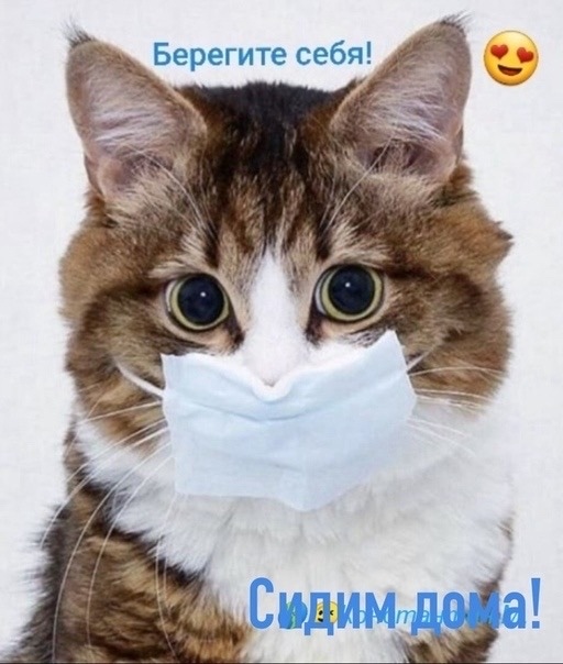 https://upforme.ru/uploads/0004/02/e8/1734/t582459.jpg