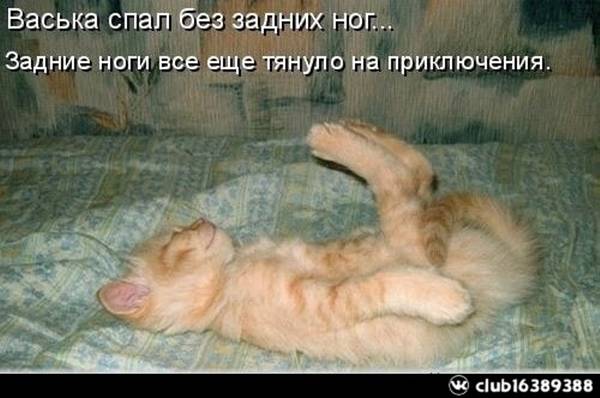 https://upforme.ru/uploads/0004/02/e8/1734/t58340.jpg