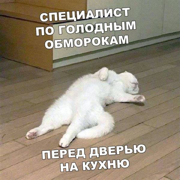 https://upforme.ru/uploads/0004/02/e8/1734/t584942.jpg