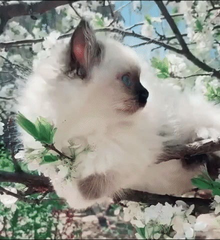 https://upforme.ru/uploads/0004/02/e8/1734/t586913.jpg