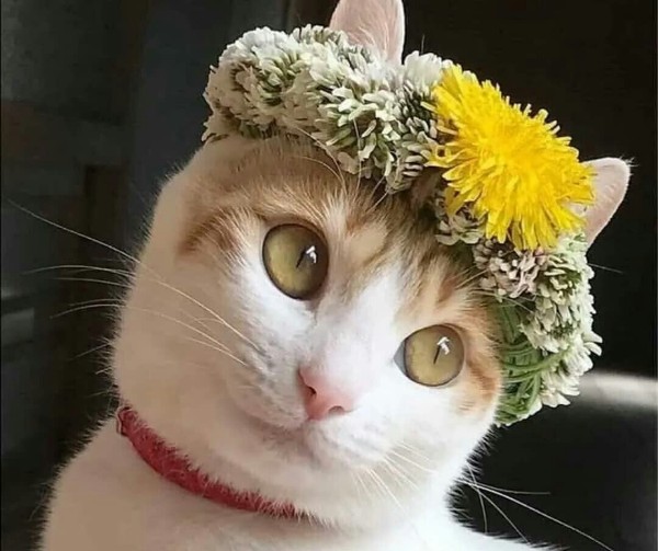 https://upforme.ru/uploads/0004/02/e8/1734/t603508.jpg