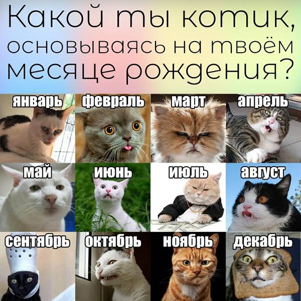 https://upforme.ru/uploads/0004/02/e8/1734/t622305.jpg
