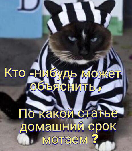 https://upforme.ru/uploads/0004/02/e8/1734/t627714.jpg