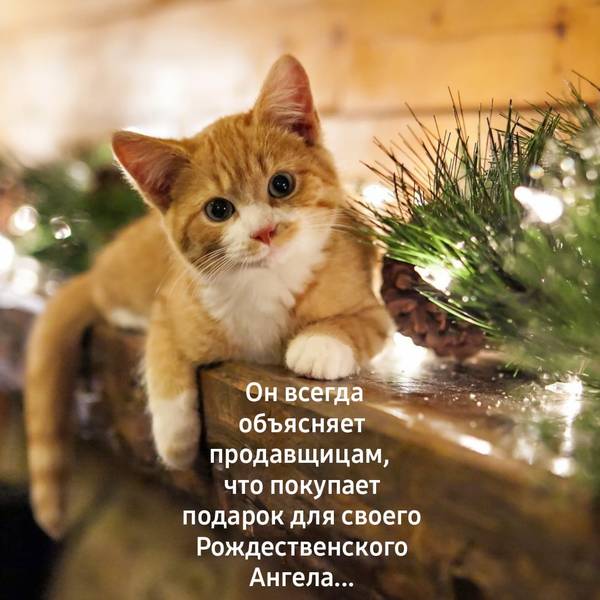 https://upforme.ru/uploads/0004/02/e8/1734/t62968.jpg