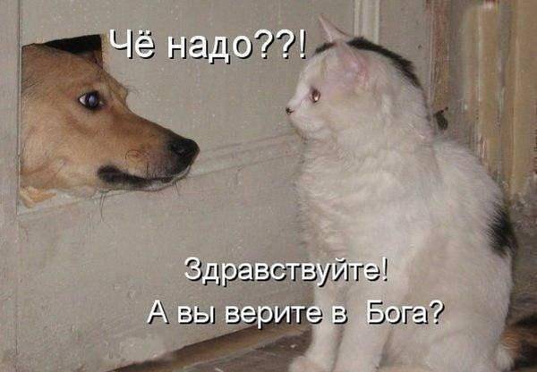 https://upforme.ru/uploads/0004/02/e8/1734/t635241.jpg