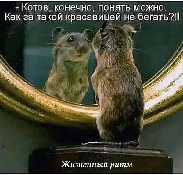 https://upforme.ru/uploads/0004/02/e8/1734/t63991.jpg