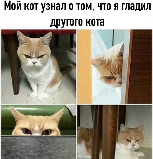 https://upforme.ru/uploads/0004/02/e8/1734/t649771.jpg