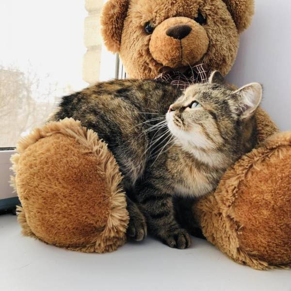 https://upforme.ru/uploads/0004/02/e8/1734/t669465.jpg