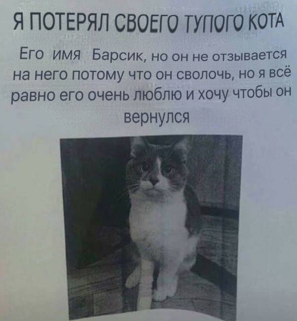 https://upforme.ru/uploads/0004/02/e8/1734/t68399.jpg