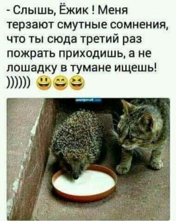 https://upforme.ru/uploads/0004/02/e8/1734/t693872.jpg